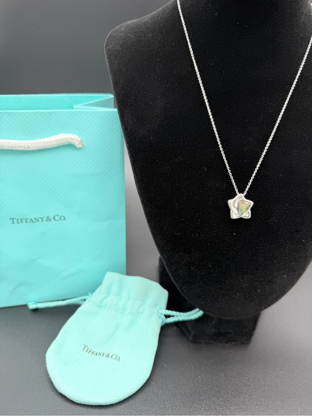 Tiffany & Co. Elsa Peretti Sirius Star Pendant Necklace – 925 Sterling Silver